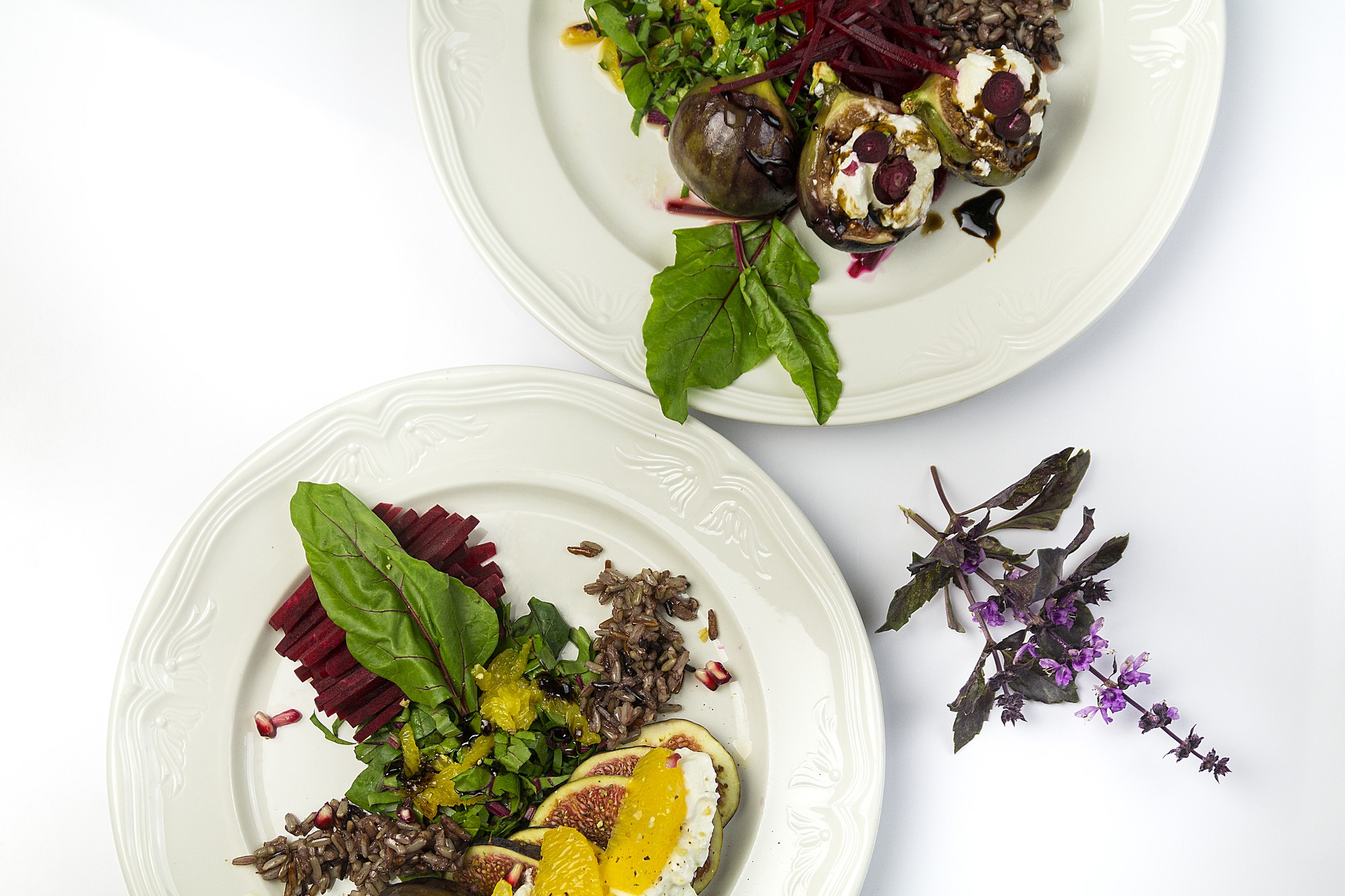Gourmet plated starter with herbs